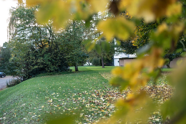 Herbstlaub Saarland Fotografie