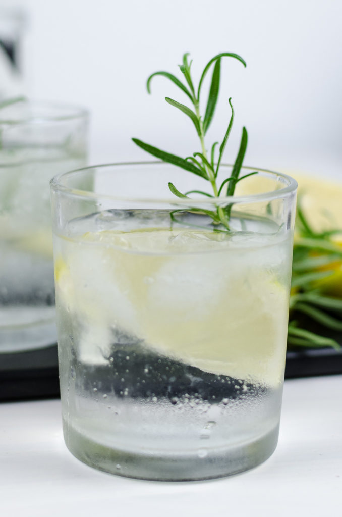 summer-drink-gin-tonic-rezept