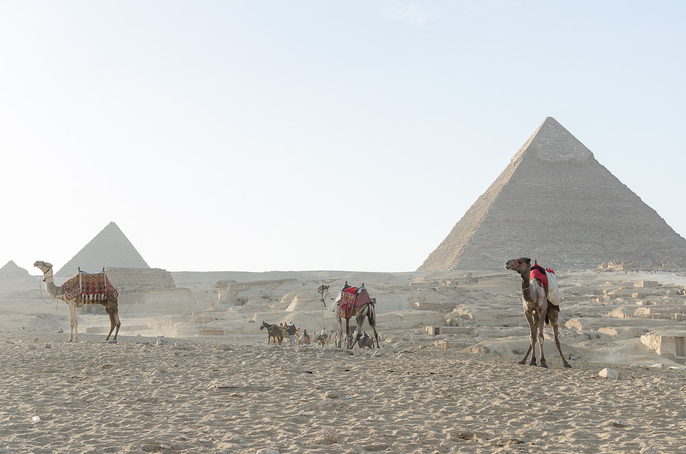 andysparkles-1 Tag in Kairo-Ägypten-Reiseblog-Pyramiden von Gizeh