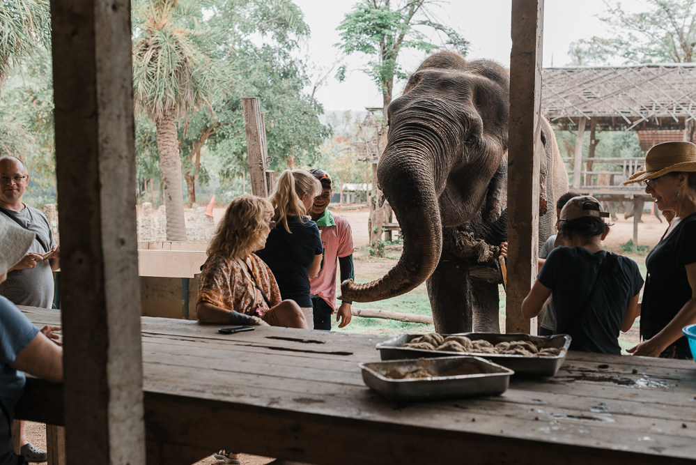 Elephant World in Kanchanaburi-Thailand Reisetipps-Reiseblog Asien-andysparkles.de
