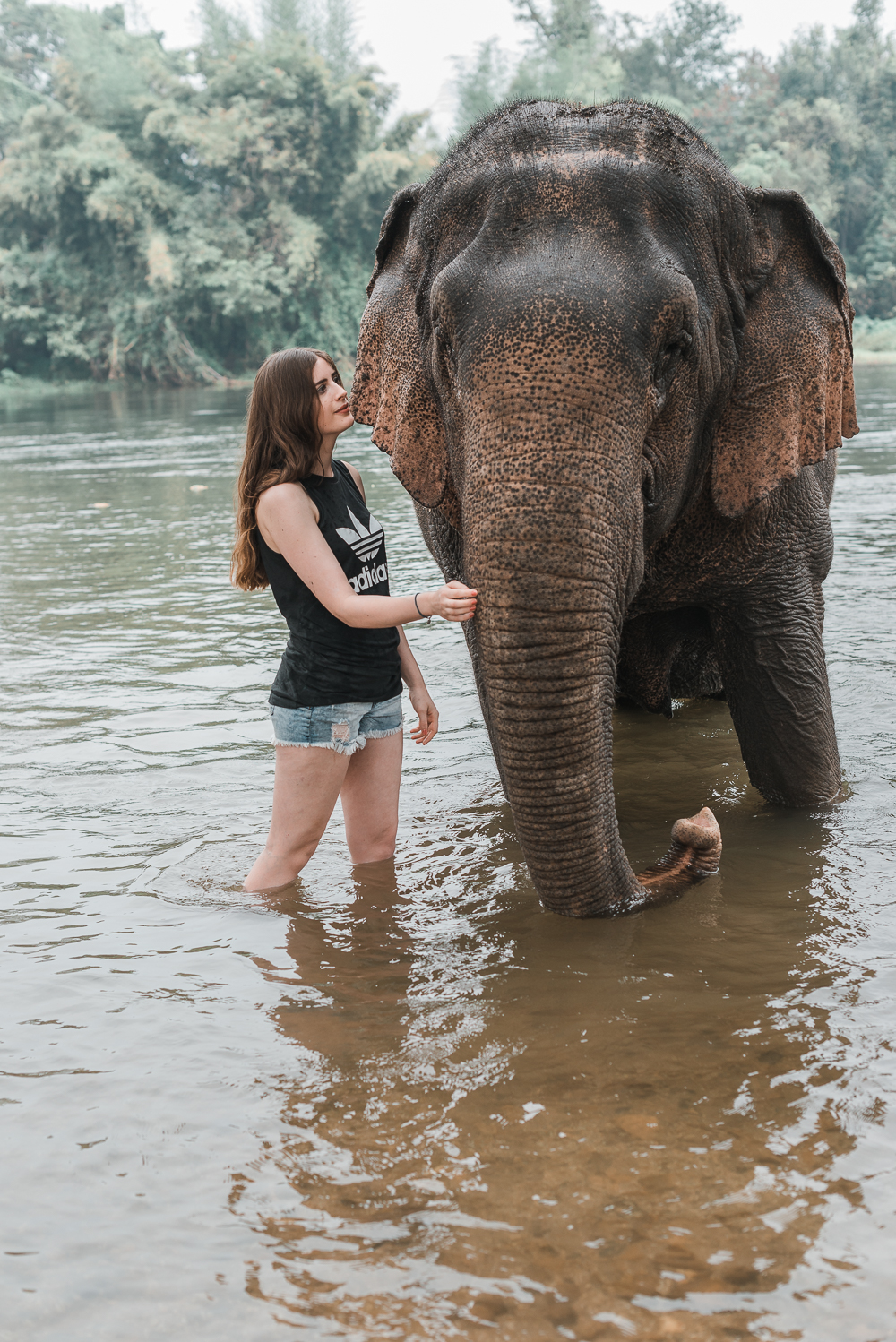 Elephant World in Kanchanaburi-Thailand Reisetipps-Reiseblog Asien-andysparkles.de
