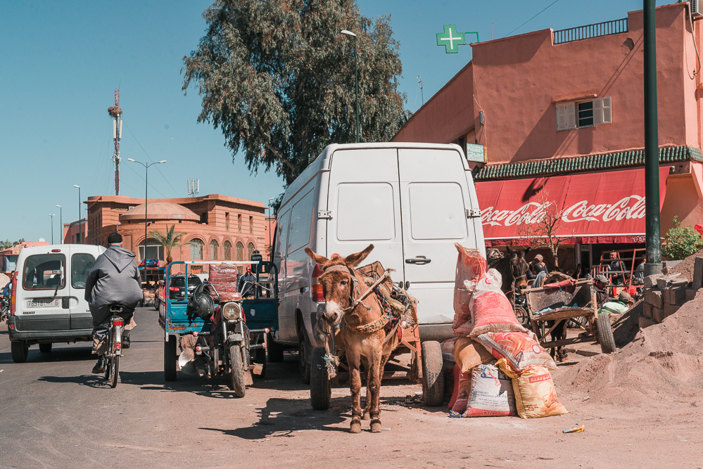 Marrakesch Insider Tipps-Marokko Reiseblog-andysparkles