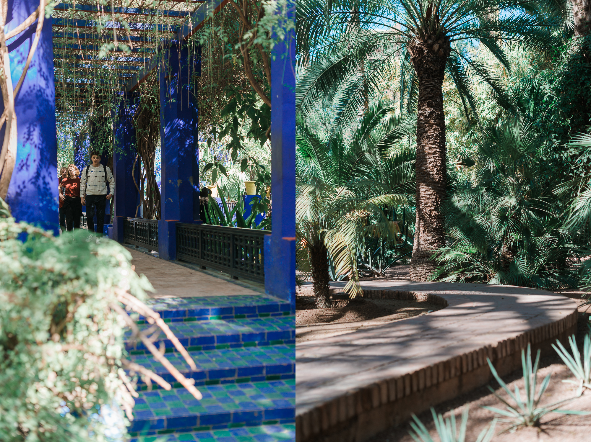 Jardin Majorelle-Marrakesch Reisetipps-Marokko Urlaub-Reiseblog-andysparkles