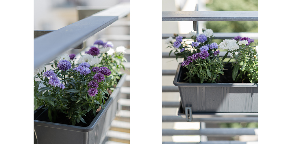 Tipps für den Balkon-Balkonblumen richtig einpflanzen-Balkon Interiorblog-andysparkles