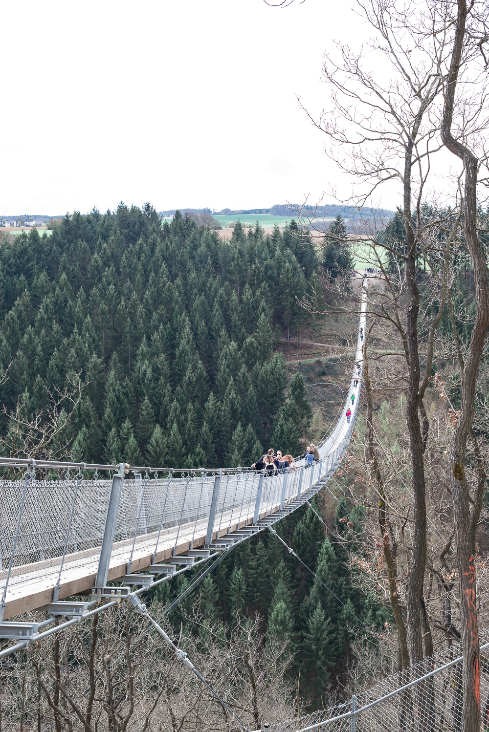 Beeindruckende Fotolocations in Deutschland-Hängeseilbrücke Geierlay-Hunsrück-Reiseblog-andysparkles