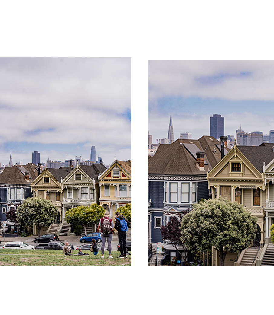 Collage Painted Ladies