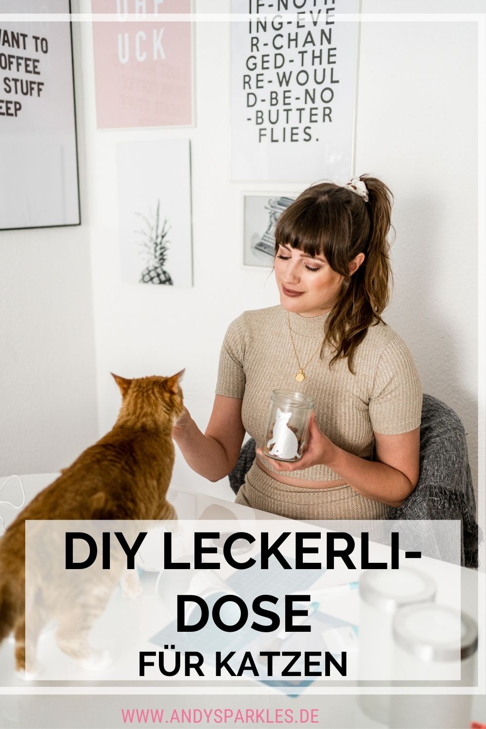 DIY Leckerli-Dose für Katzen