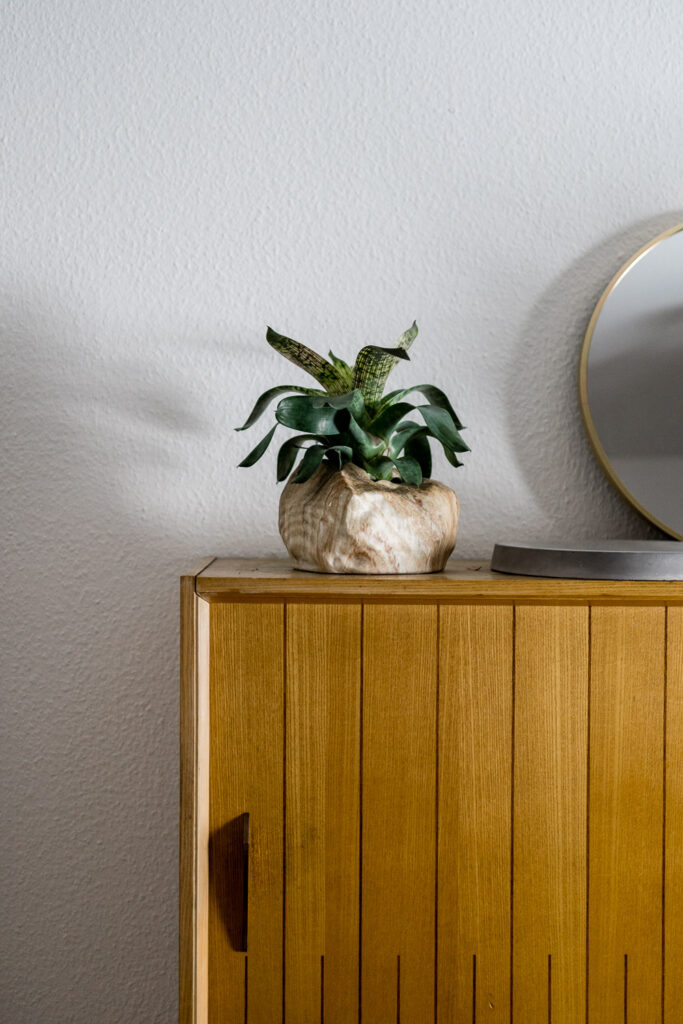 Gute Gründe für Pflanzen in der Wohnung