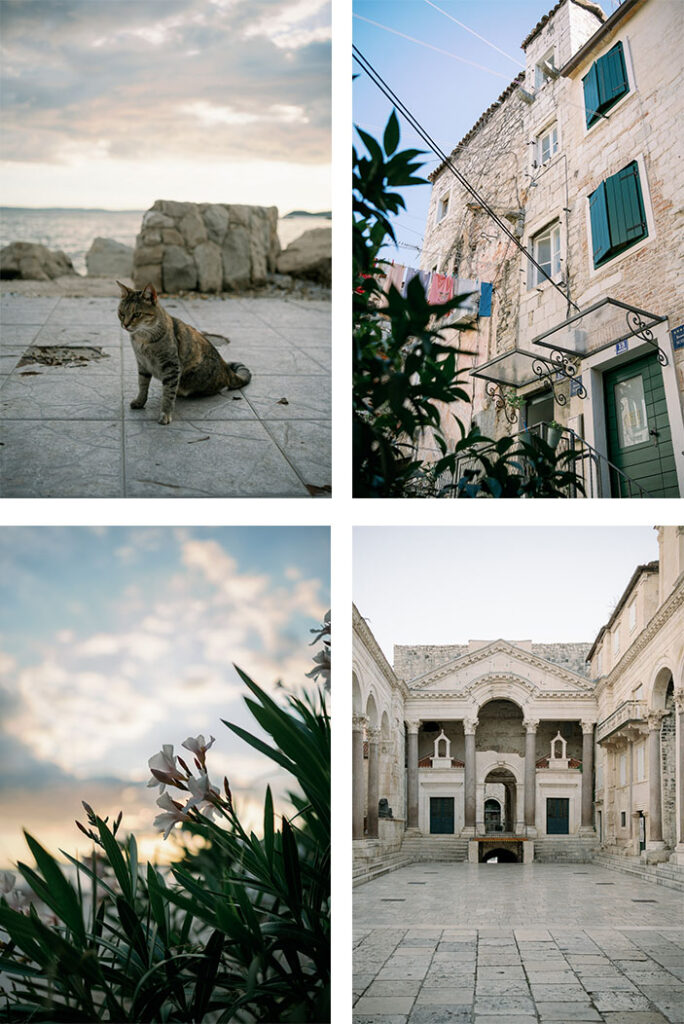 Impressionen aus Altstadt von Split mit Katze, Palast und mediterraner Architektur