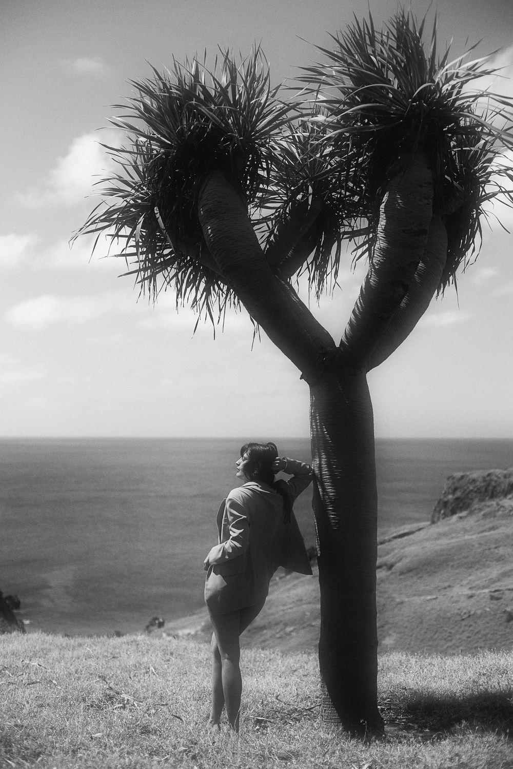 Künstlerische Schwarzweißaufnahme von Andrea von andysparkles unter einem Drachenbaum – ist Madeira eine gute Soloreise? Eindruck aus dem Frühling
