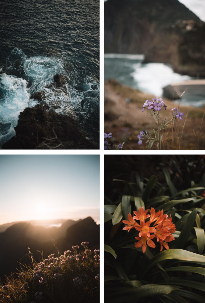Bilder vom Frühling auf Madeira