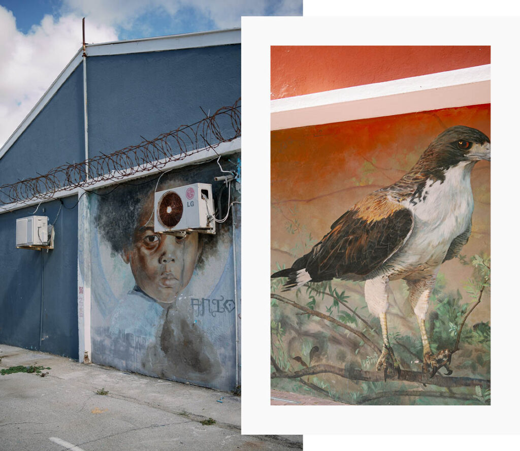 Street-Art in Willemstad – Kinderporträt und Greifvogel-Mural