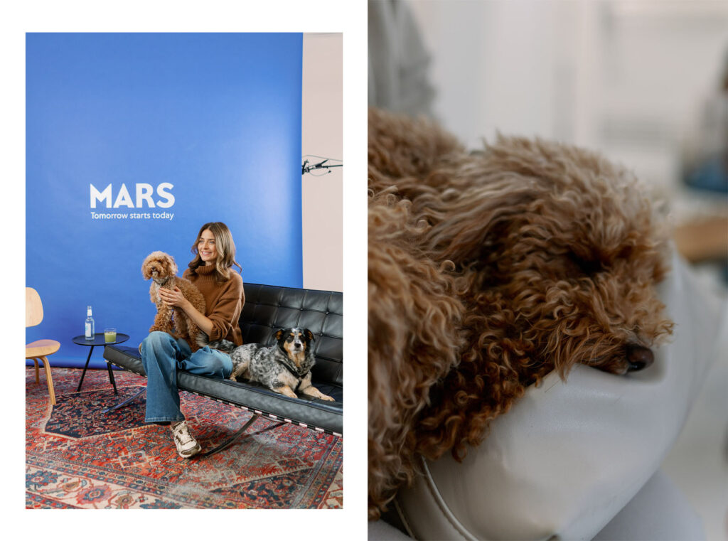 Eva Padberg beim Mars Pressday in Hamburg mit zwei Hunden auf dem Sofa – Gespräch über Haustieradoption und Tierliebe