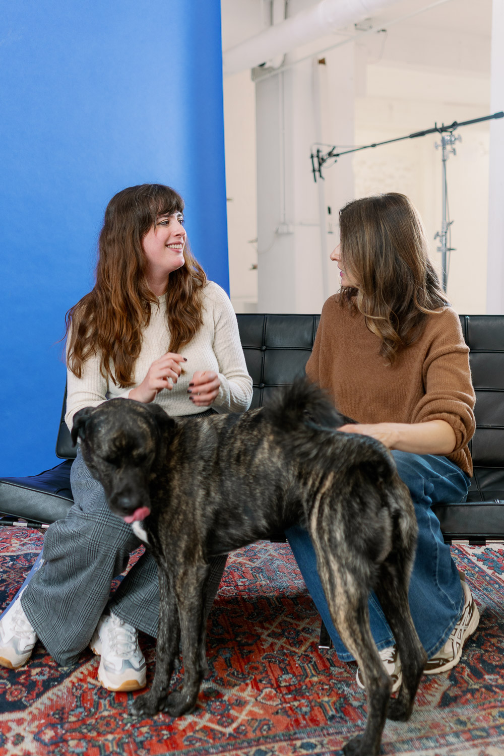 Andrea Funk im Gespräch mit Eva Padberg beim Mars Pressday in Hamburg, im Fokus das Thema Haustieradoption und Tierschutz