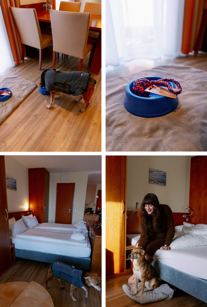 Dog-friendly hotel room on Juist with bowl, dog blanket and Andrea from andysparkles