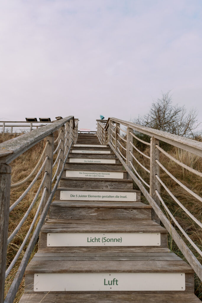 Wooden stairs on the Otto-Leege-Pfad on Juist