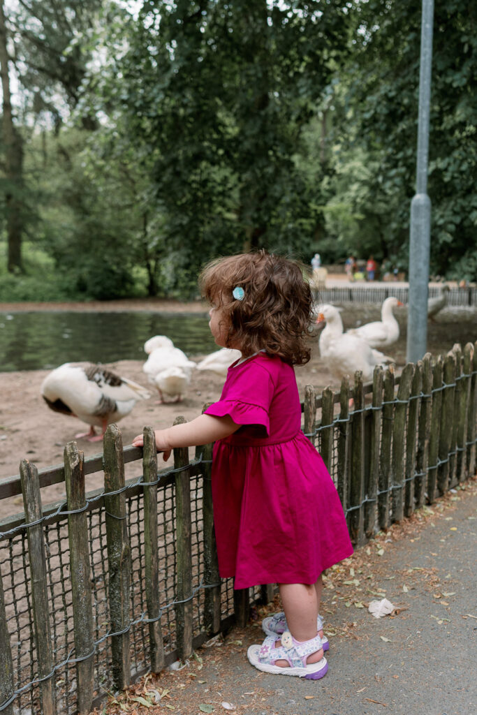Dottie beobachtet Enten am Wasser, eine schöne Idee für einen zweiten Geburtstag mit Kleinkind im Park.