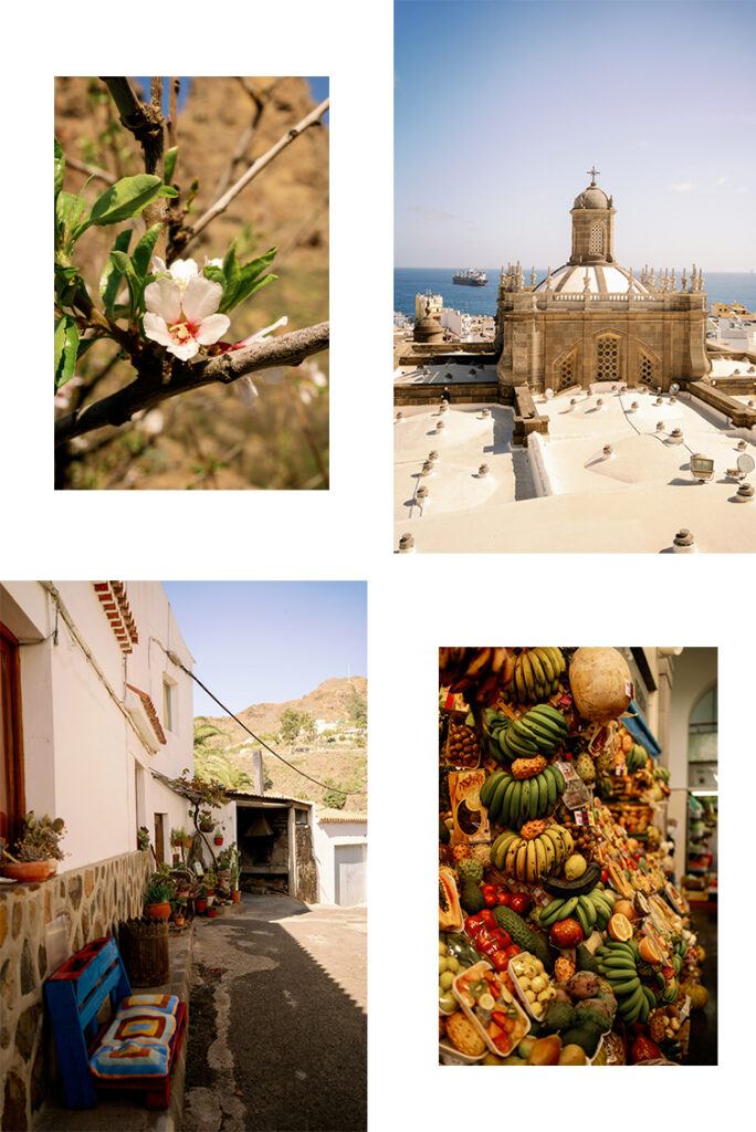 Mandelblüte auf Gran Canaria im Februar Kuppel der Kathedrale Santa Ana mit Blick aufs Meer Dorfgasse mit Blumentöpfen auf Gran Canaria Obststand in der Markthalle in Las Palmas