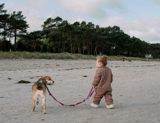 Kleinkind mit Hund an der Leine am Binzer Strand, während des Kurzurlaubs mit Hund