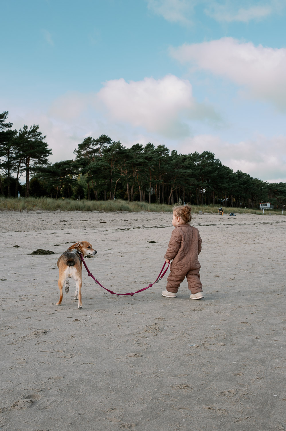 Kleinkind mit Hund an der Leine am Binzer Strand, während des Kurzurlaubs mit Hund