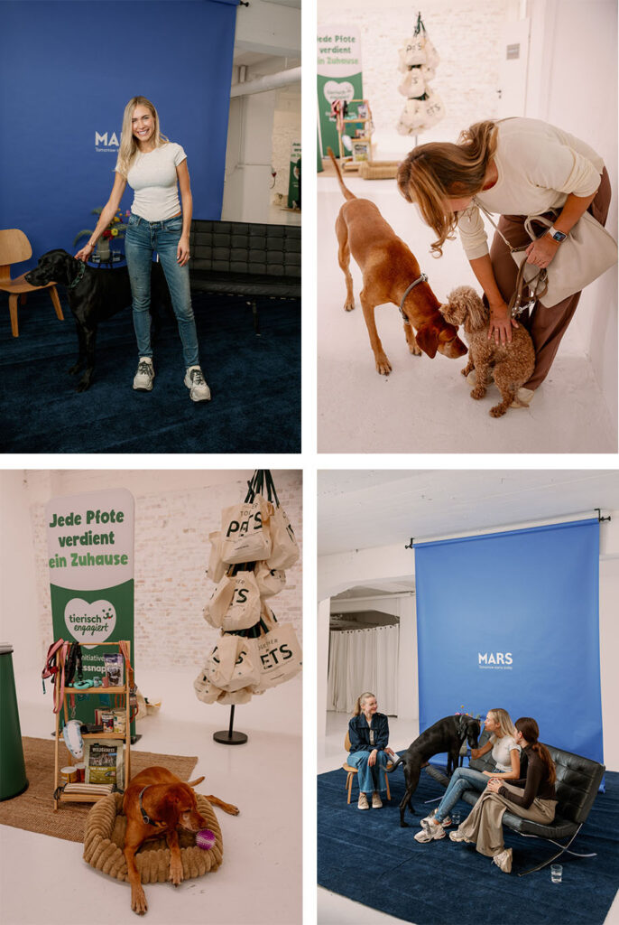 Mars Pressday in Hamburg zu Vorurteilen bei der Tieradoption mit Hunden aus dem Tierschutz, Gesprächsrunde vor der Mars-Wand und Stand Jede Pfote verdient ein Zuhause