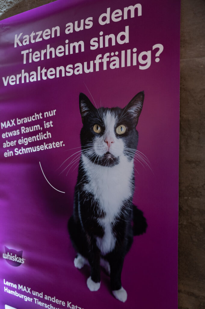 Whiskas-Plakat der Hamburger Kampagne gegen Vorurteile bei der Tieradoption mit Kater Max aus dem Tierheim