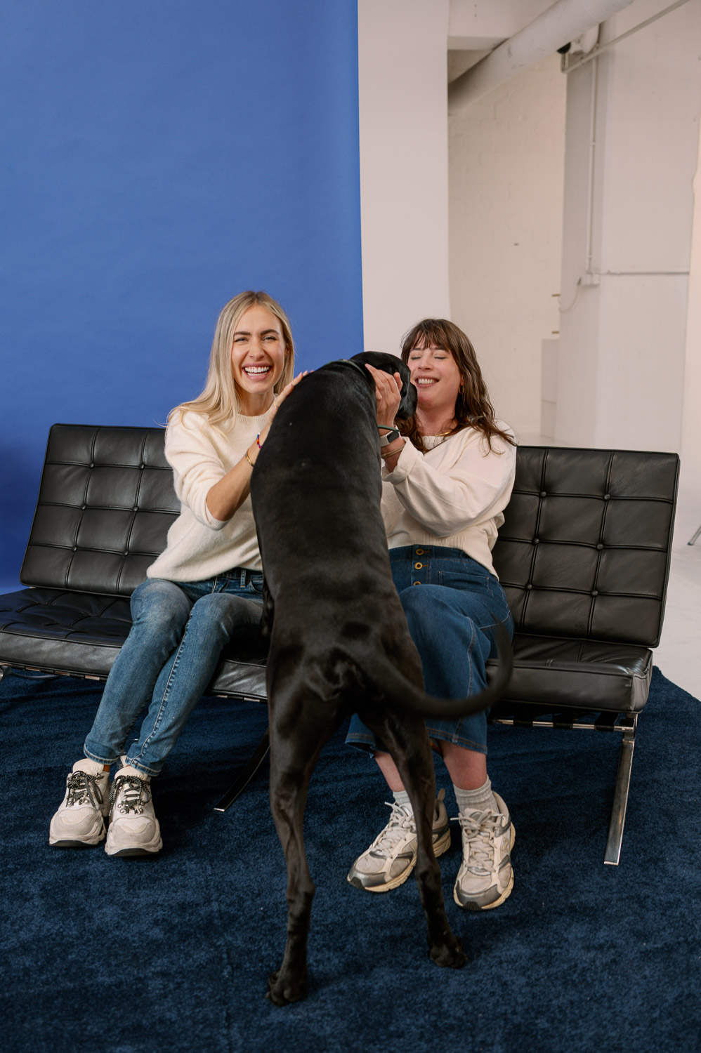 Andrea von andysparkles und Alena Gerber lachen auf einer schwarzen Lederbank, während eine schwarze Dogge zu ihnen hochkommt